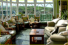 Cornwall Tourism Magazine - Doggy holidays in Cornwall - Polurrian Bay Hotel - Copyright - Ed Stone Web Design